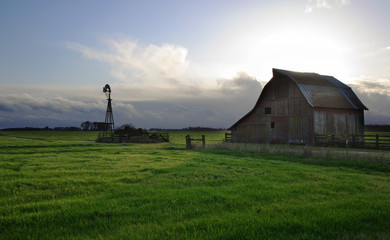 Wall Mural - old barn in the green field with windmill