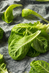 Raw Green Organic Romaine Leaves