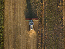 Drone View Of Harvester In Green Field