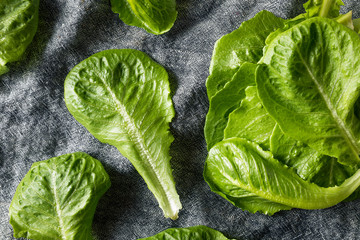 Raw Green Organic Romaine Leaves