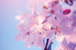 Tree pink flowers blossom. Spring nature background.
