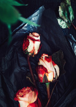 Three Withered Red Roses On Table In Black Paper Enevelope