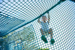 © Lawren Lu/Stocksy - Little boy enjoy climbing the net in playground under sunshine