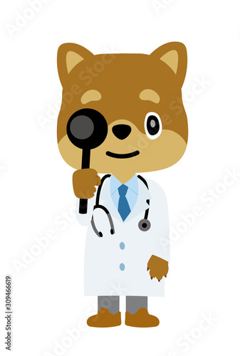 イラスト素材 犬を擬人化したお医者さん 獣医師 のキャラクター 柴犬 視力検査 Stock Vector Adobe Stock