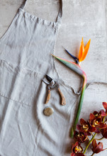 Flower Arranging Tools, Secateurs And Pin Frog
