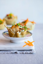 Wonton Chicken And Vegetable Appetizers