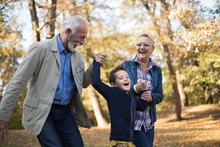 A Grandfather, A Grandmother And Their Grandson Strolling Through An Outdoor Environment Full Of Threes, Having A Good Time. The Grandparents Are Lifting The Grandson Between Each Holding His Hand.