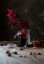Fall Flower Arrangement With Berries And Orchid Flowers