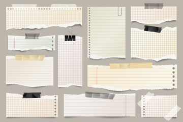 Wall Mural - colored ripped lined paper strips collection. realistic paper scraps with torn edges and adhesive ta
