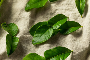 Raw Green Organic Kaffir Lime Leaves