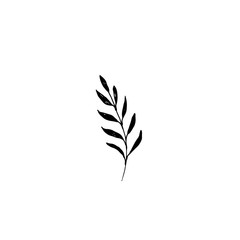 Hand drawn vector illustration of leaf 