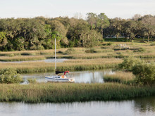 Sailboat Docked In Marsh Area With Trees And Water In Georgia