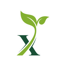 Initial Letter X With Leaf Luxury Logo. Green Leaf Logo Template Vector Design.