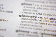 Word or phrase Glossary in a dictionary.