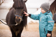Cute Kid boy in turquoise overalls stroking an Icelandic pony with a funny forelock. Child thanks the horse after hippotherapy. Brown pony looking at the camera