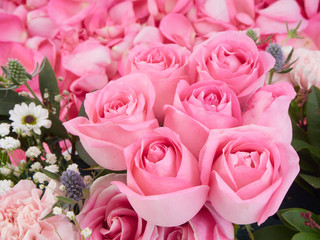 Sticker - Close-up of beautiful pink roses.