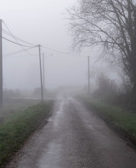 Wall Mural - small road with mist in France