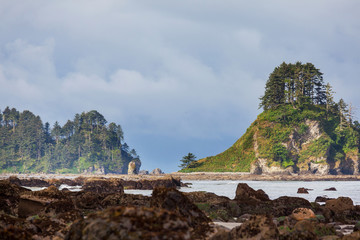 Wall Mural - Olympic coast