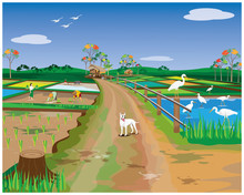 Lifestyle Of Farmer At Countryside Vector Design