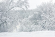 Winter landscape, Moscow, Russia. Panorama of nice trees covered fresh snow. Scenery of city park by the river after snowfall.