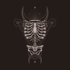 Skeleton torso poster. Stylish, hand drawn vector illustration in engraving technique of ribcage, spine and hipbones with sacred geometry on dark background. Occult poster, t-shirt print, cover.