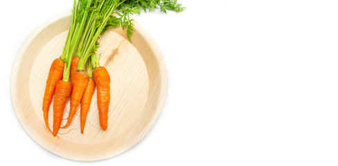 Wall Mural - fresh carrots isolated on a white background. Bunch of baby carrots isolated on white background.