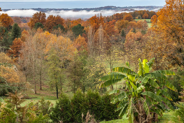 Canvas Print - Allassac (Corrèze, France) - Vue automnale