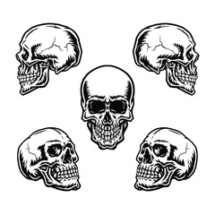 Wall Mural - Set of skulls in different positions, isolated on white