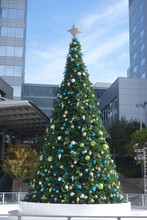 Annual Downtown Christmas Tree, Phoenix, AZ