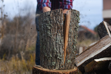 Wall Mural - Lumberjack chopping wood for winter, Young man chopping woods with an axe