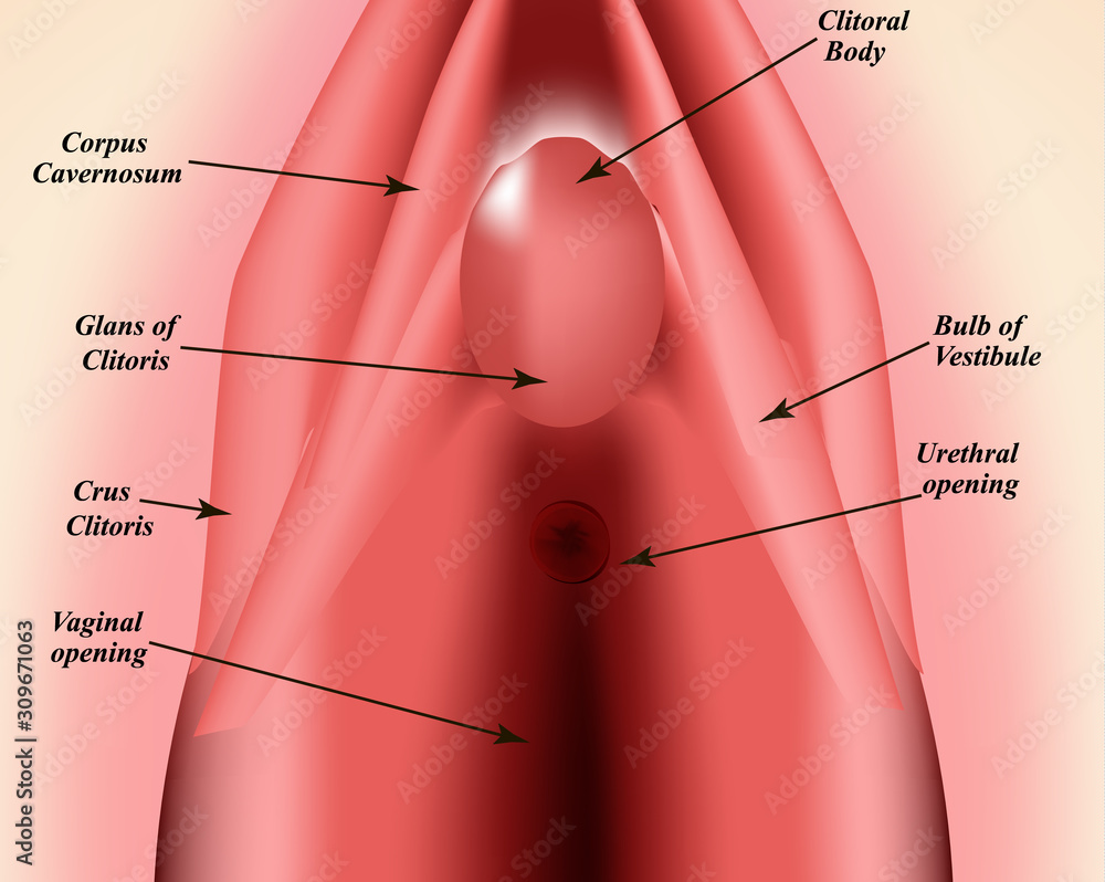 qoramagiz sochlar orqa korinishi