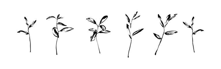 Wall Mural - Vector set of hand drawn wild plants painted by ink. Outline herbs with leaves silhouette brush painting. Black isolated on white background.