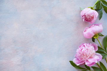  Three pink peonies on a background of decorative plaster and space for text.