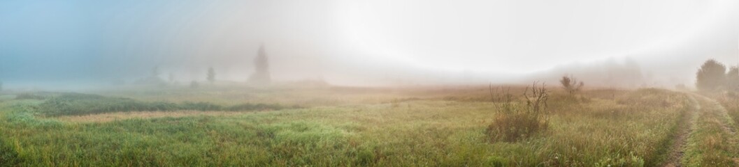 Wall Mural - foggy morning in the village. meadow, grass, low visibility