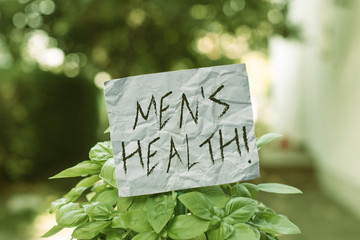 Text sign showing Men S Health. Business photo showcasing state of complete physical mental and social well being by analysis Plain empty paper attached to a stick and placed in the green leafy plants