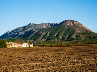 Wall Mural - plantation with rural house and sierra de almudaina