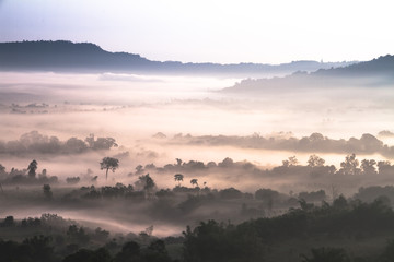 fog over forest in mountain