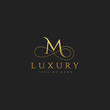 M Luxury Letter Logo Design Vector