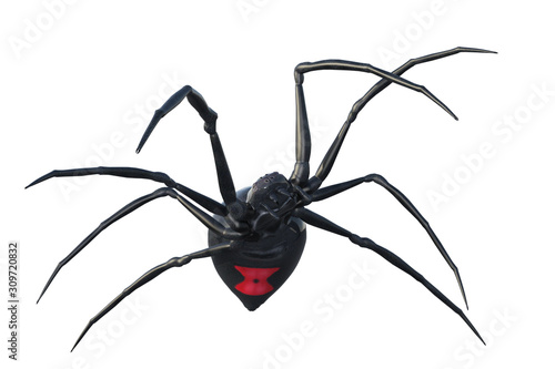 Fotografía Black widow spider isolated on white, 3d render.