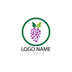 Grapes logo template vector icon illustration design