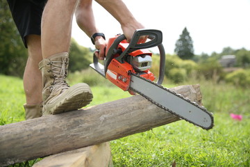 Wall Mural - a man saws off a log with a chainsaw close up