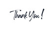 © sangart - Thank You Text Lettering Handwritten Brush Calligraphy isolated on white background. Greeting Card Vector Illustration