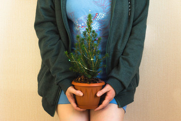 A girl in blue shorts and a t-shirt and a green hoodie is holding a pot with a Christmas tree.