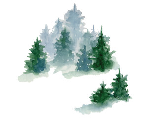 Watercolor pine trees illustration isolated on white background