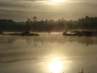 Wall Mural - beautiful fog landscape in the morning