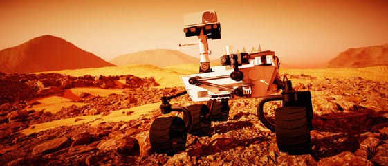 Wall Mural - a mars rover explores the red planet (3d rendering)