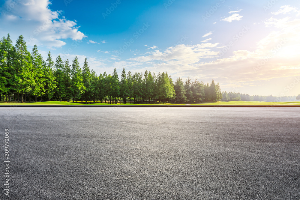 Race track ground and green forest landscape at sunset. - obrazy, fototapety, plakaty 