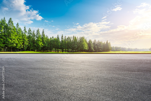 Fotografía Race track ground and green forest landscape at sunset.