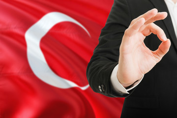 Wall Mural - Turkey acceptance concept. Elegant businessman is showing ok sign with hand on national flag background.