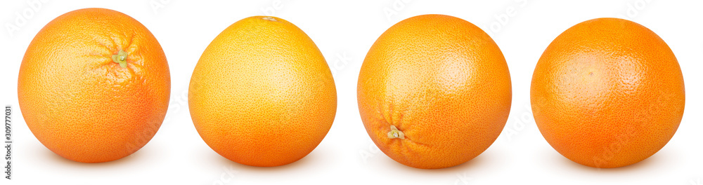 Isolated grapefruits. Collection of whole grapefruits (oranges) isolated on white background with clipping path - obrazy, fototapety, plakaty 